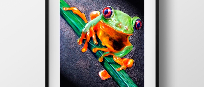 NatGeo-RainforestFrog