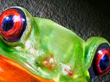 Wildlife-Series-I-1995-1999