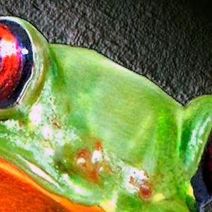 Wildlife-Series-I-1995-1999