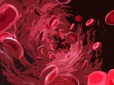 bloodstream