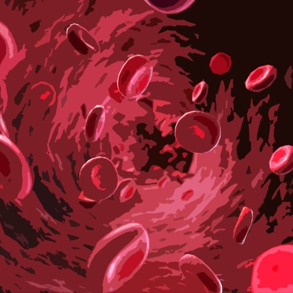 bloodstream