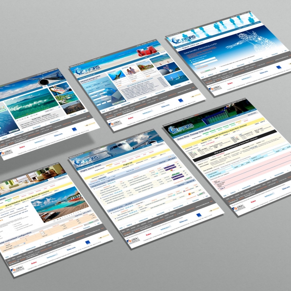 Final presentation of customized website main templates to directive staff