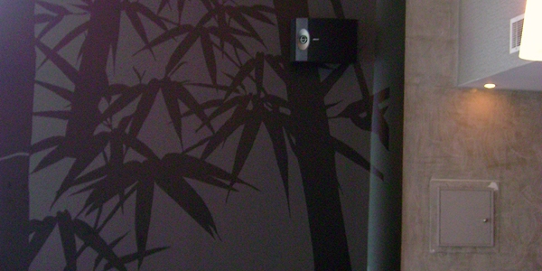 Vynil dye cuts wall decal bamboo forest composition