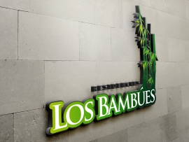 Logotype implementation