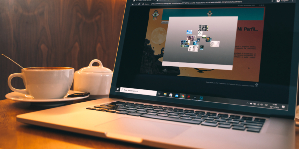 ActionScript 2 + JS integrated illustrations special gallery