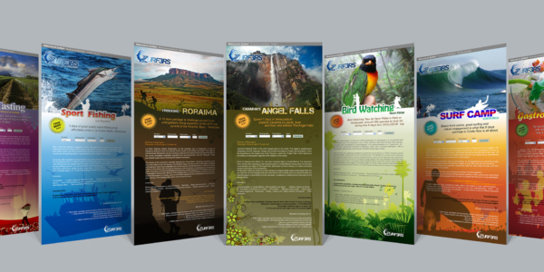 Web landing pages project development